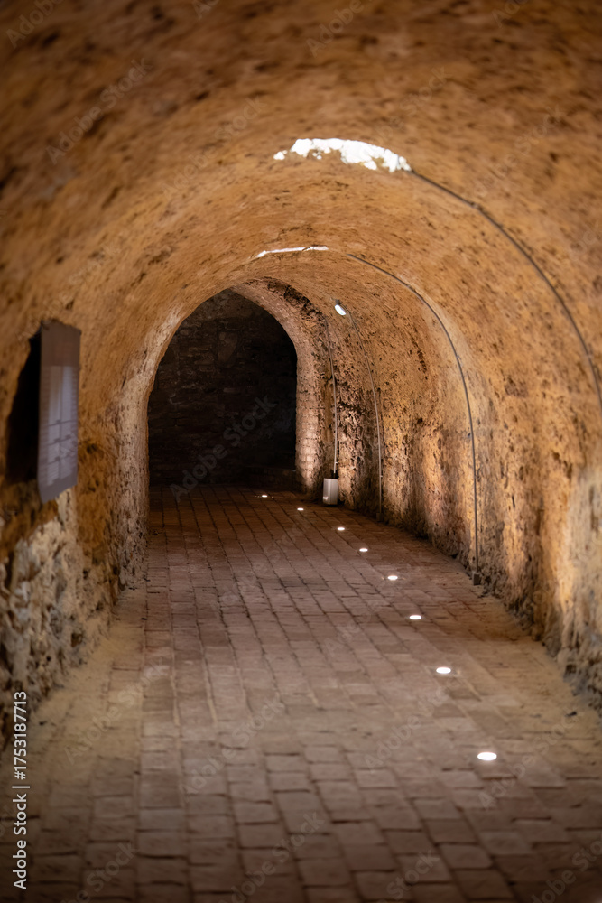 Fototapeta premium Historic underground tunnel with arched brick ceiling 