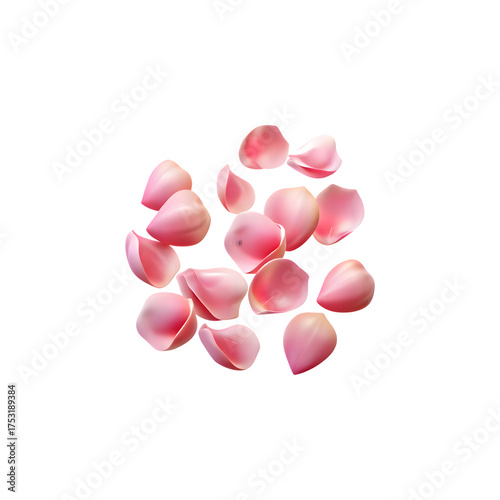 Delicate pink rose petals scattered artistically for romantic and floral designs