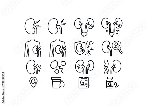 vector icon line kidney pain and stones 16 items isolated on white background