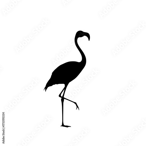elegant flamingo silhouette standing gracefully on one leg against a transparent background