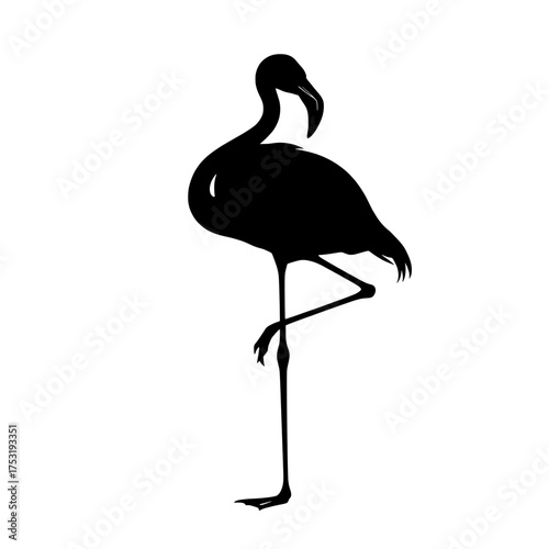 sleek silhouette of a flamingo standing gracefully on one leg against a bright transparent background