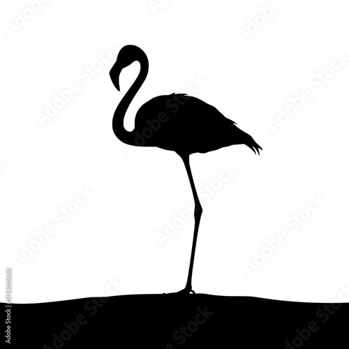 silhouette of a flamingo standing in shallow water against a stark transparent background