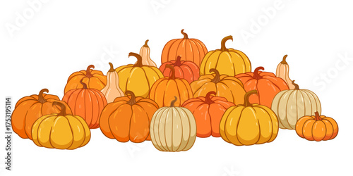 Pumpkin patch vector set. Bunch of autumn pumpkins. Hand drawn pumpkin squash in different colors and shapes.