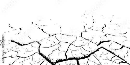 Cracked dry soil texture background in black and white. Drought land surface showing parched earth and environmental dryness. Perfect for climate change, desert, and natural texture design themes.