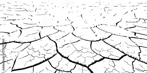 Cracked dry soil texture background in black and white. Drought land surface showing parched earth and environmental dryness. Perfect for climate change, desert, and natural texture design themes.