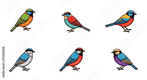 Collection of colorful tanager birds, showcasing a variety of vibrant plumage patterns and unique markings, perfect for ornithology enthusiasts