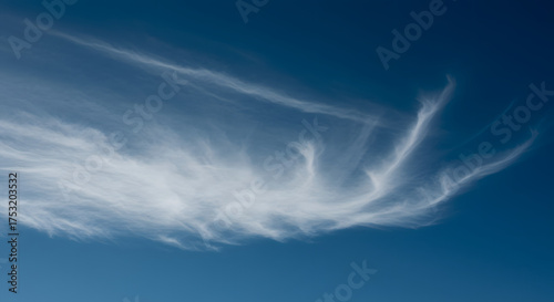 高空に流れる繊細な巻雲