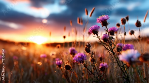 Colorful wildflowers bloom vibrantly in a sunny meadow during sunset, capturing the beauty of nature and the serenity of the landscape in a breathtaking moment.