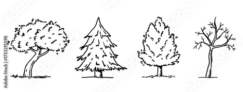 A set of different trees isolated on a white background. Landscape sketch. Vector hand-drawn illustration in outline style. Perfect for cards, decorations, logo, nature-themed designs