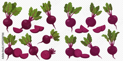 Illustration of beets with green leaves and sliced pieces.