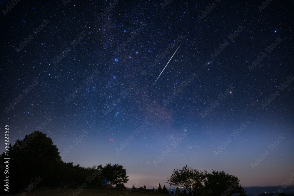 Fototapeta premium Milky Way stars with meteor shower trails and countryside tree silhouettes.