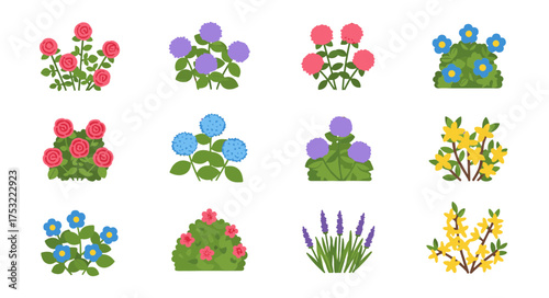 Vector collection of various colorful blooming garden bushes and flowering shrubs