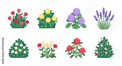 Collection of various garden bushes, flowering plants, and lavender
