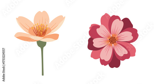 Two beautiful colorful flowers bloom gently in nature.