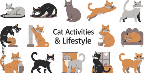 Cartoon Cat Character Illustrations Feline Activities, Grey, Black, and Orange Cats in Various Poses