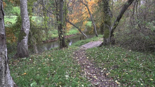 Wallpaper Mural A narrow leaf-covered trail leads to a wooden bridge by a calm river, surrounded by mossy trees and soft autumn colors in a peaceful forest atmosphere. Torontodigital.ca