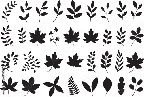 Autumn leaves silhouette set black design