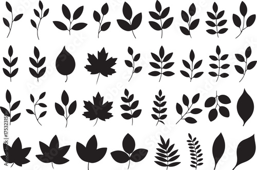Autumn leaves silhouette set black design