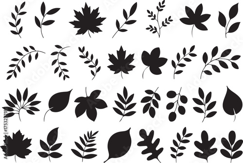 Autumn leaves silhouette set black design
