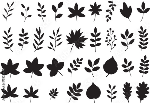 Autumn leaves silhouette set black design