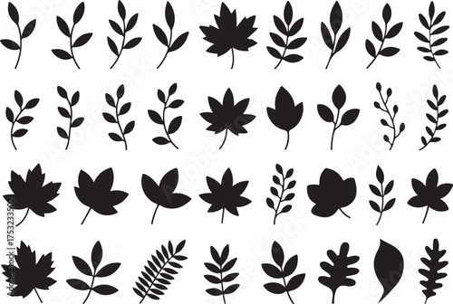 Autumn leaves silhouette set black design