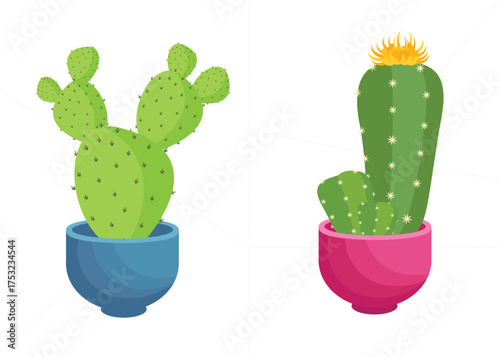 Cactuses in pots on a white background. Vector illustration.