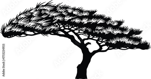 Stylized Black and White Pine or Bonsai Tree Silhouette