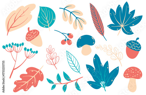 Autumn forest elements collection. Flat vector leaves, acorns, berries, mushrooms. Fall botanical clipart set