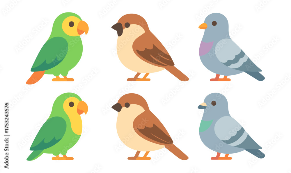 Naklejka premium Colorful birds set: parrot, sparrow, pigeon in flat design
