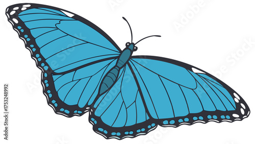 Elegant blue butterfly with intricate black border, displaying symmetrical wing design and delicate antennae in detailed illustration