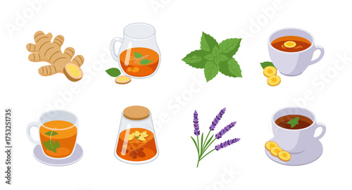Herbal tea ingredients and aromatic herbs in isometric style