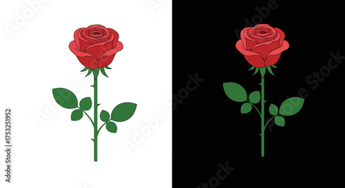 Elegant rose design with contrast backgrounds in flat style