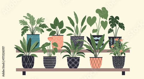A collection of various houseplants in decorative pots on a shelf.