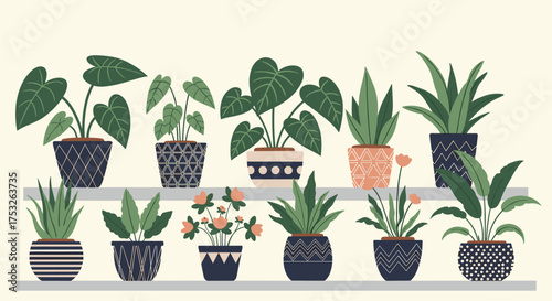 A charming collection of potted plants displayed on shelves.
