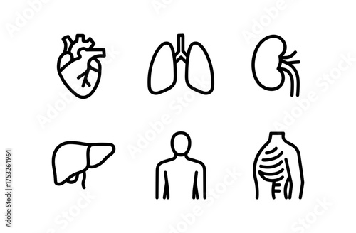 Medical icons set featuring human organs in simple linear style