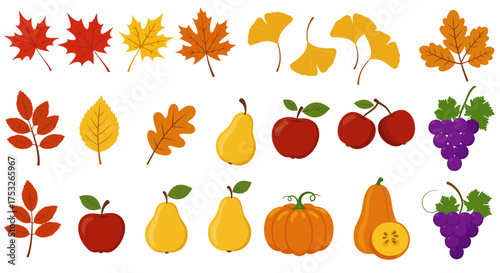 Colorful autumn leaves and fruits collection featuring pumpkins and grapes