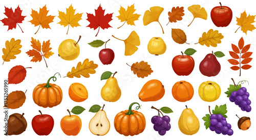 Autumn leaves and fruits collection: vibrant seasonal elements in flat design