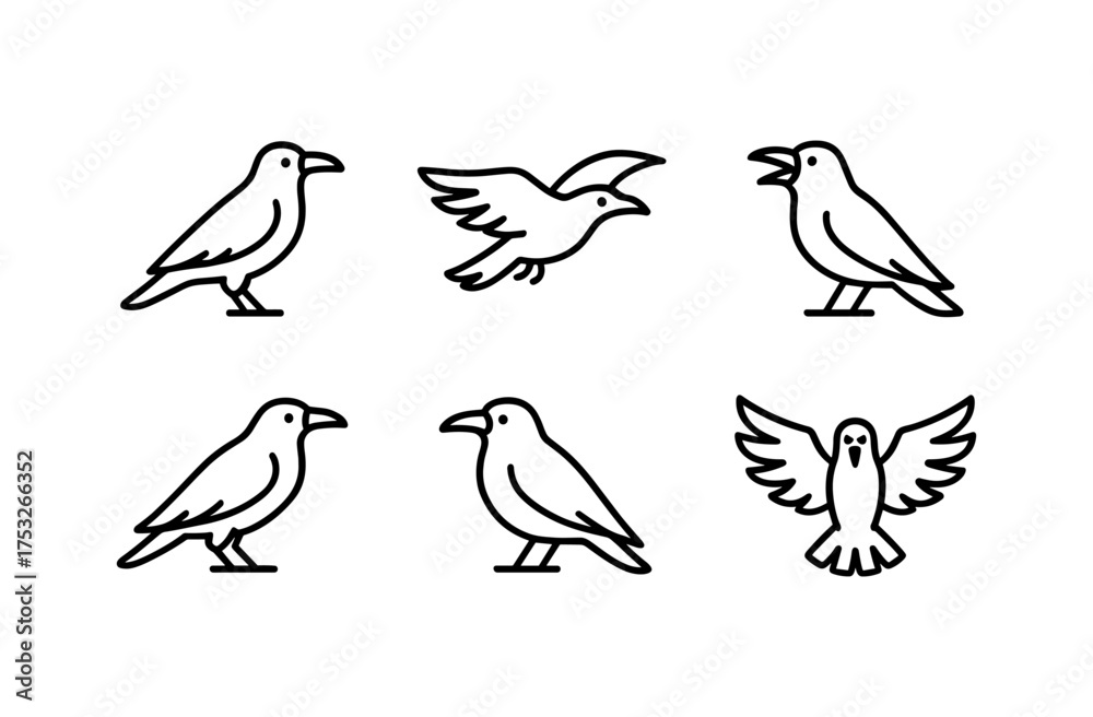 Fototapeta premium Set of minimalist bird outlines featuring various poses and flight illustrations