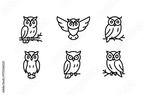 Minimalist owl icons set in linear style featuring various poses and designs