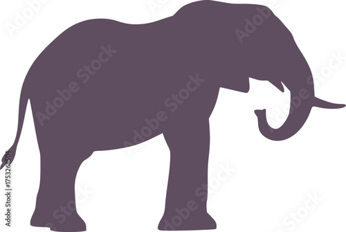 Elephant vector illustration