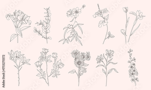Simple Set of Flower Illustration Line Art Vintage Style for Wedding Decoration or Romance Design