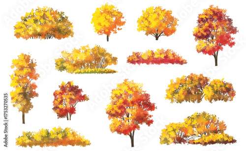 Vector watercolor illustration of a blooming flower tree or forest side view, ginkgo isolated on a white background, suitable for landscape and architecture drawing. The illustration includes elements