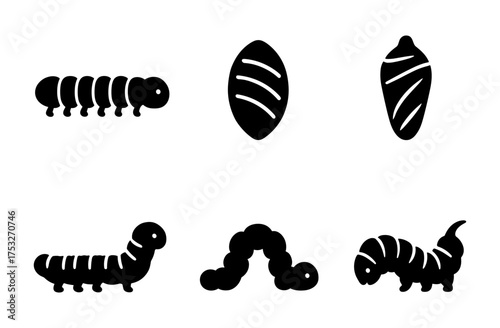 Silhouette of insect life cycle: caterpillar to pupa