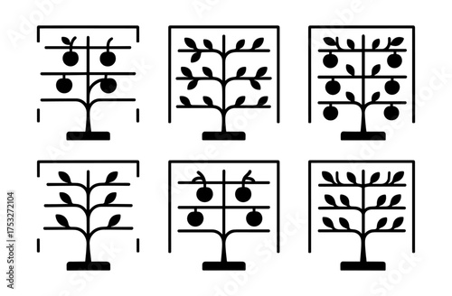 Espalier tree garden patterns: fruit tree training in modern silhouette designs