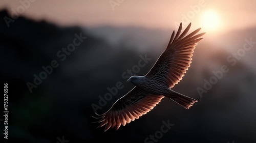 Eagle Soaring Through the Sunset Sky
