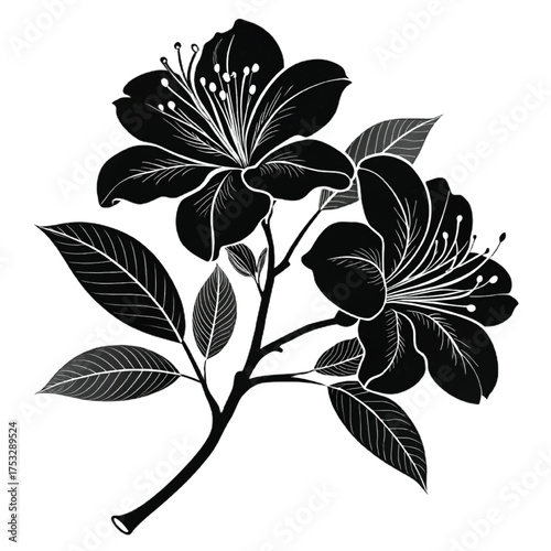 Elegant floral line art for sophisticated designs, invitations, and branding projects with nature themes