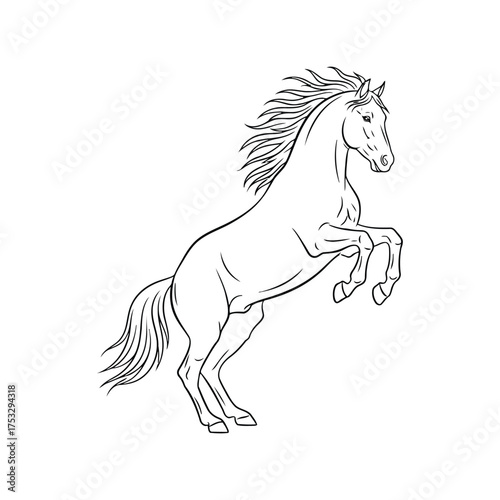 Majestic rearing horse line art drawing powerful stallion elegant equine animal vector
