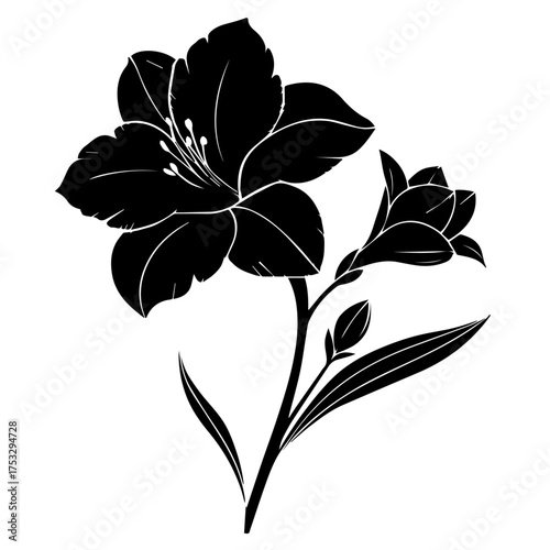 Elegant Amaryllis flower with delicate lines, perfect for sophisticated designs and creative projects