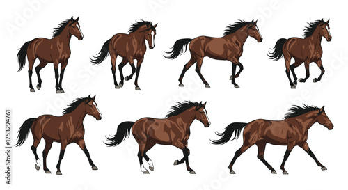 Animated sequence of a brown horse in full gallop motion.