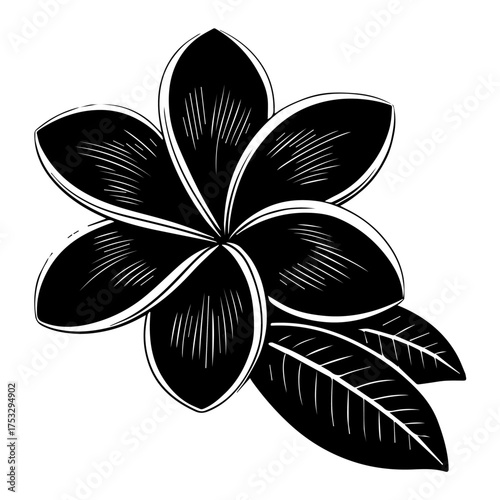 Elegant frangipani flower artwork radiates beauty and style, perfect for sophisticated designs